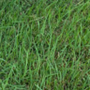 Meet your Posher, Steve